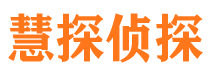 高明市调查公司